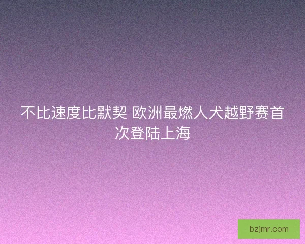 不比速度比默契 欧洲最燃人犬越野赛首次登陆上海 不比速度比默契 欧洲最燃人犬越野赛首次登陆上海